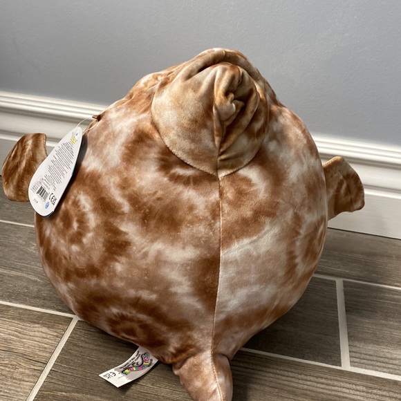 Squishmallows Toys Edmund Squishmallow 2 Inch From Summer Squad